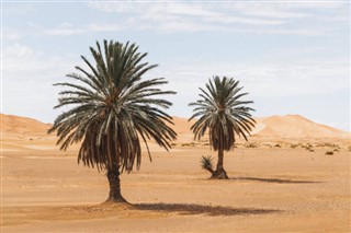阿爾及利亞