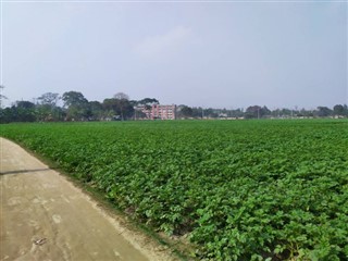 Banglades