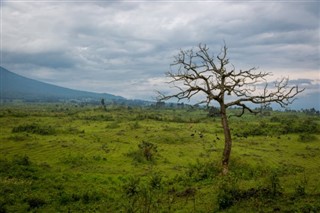 Congo,