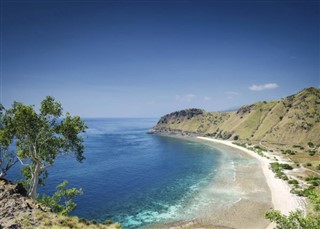 Timorul