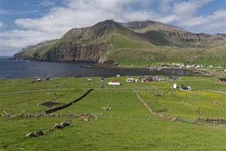 Farerų