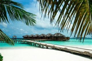 Malediwy