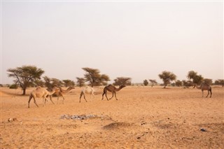 Mauritānija