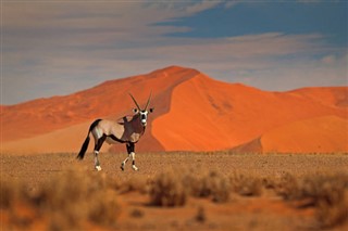 Намибија