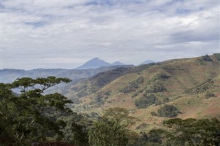 Rwandy
