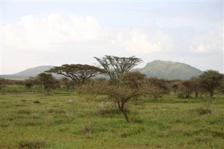 רואנדה