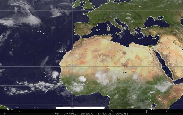 United Arab Emirates Weather Cloud Map 