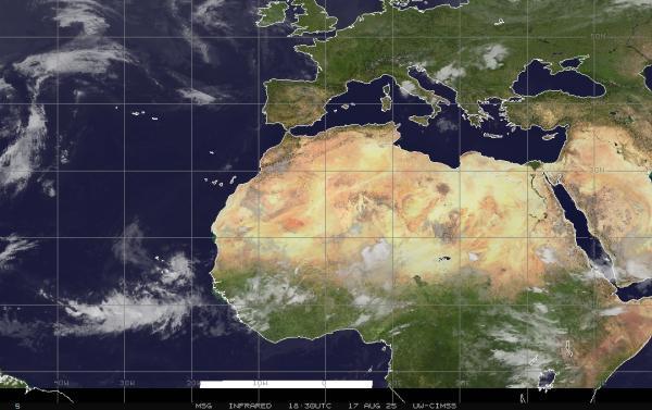 アラブ首長国連邦 天気クラウドマップ 