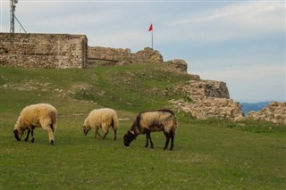 Albanija