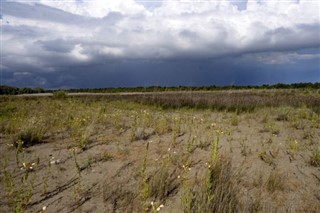 Албанія