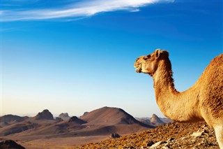 الجزائر موسم کا حال الجزائر