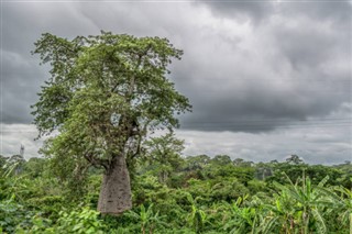 Angola