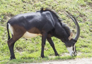 Angola dự báo thời tiết Angola