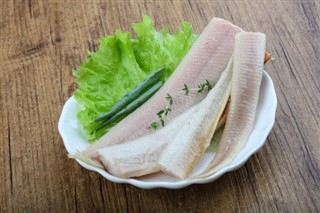 앵