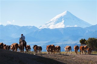 Argentyna