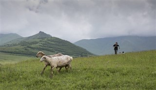 Армения