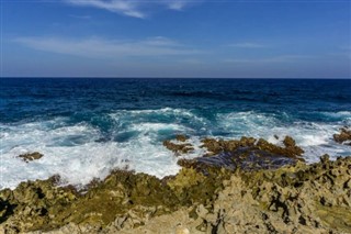 阿鲁巴