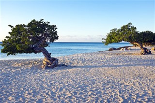 Aruba dự báo thời tiết Aruba
