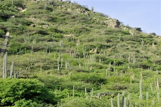 Aruba previsioni del tempo Aruba