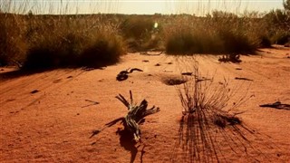 Austràlia