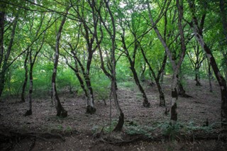 আজেরবাইজান