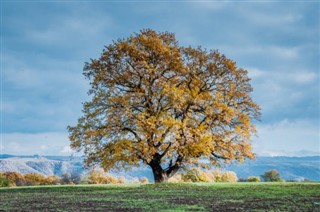 Azerbaidjan