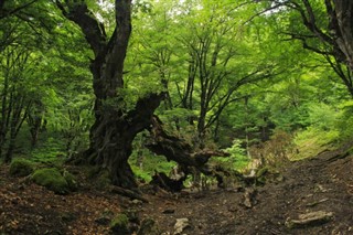 Azerbaïdjan