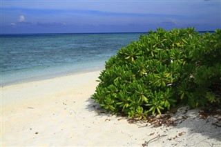 Bahames