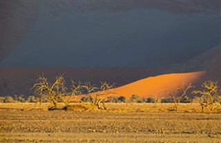 Bahrein