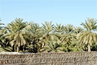 البحرين