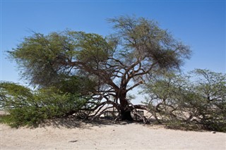 Bahrein