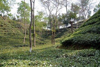 Bangladesh Prognoza meteo Bangladesh