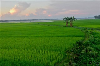 Bangladesh