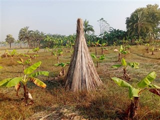 बांग्लादेश