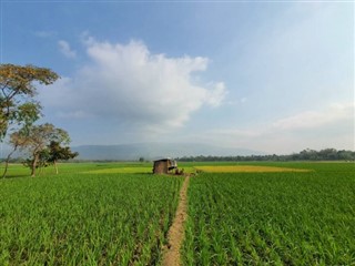 Bangladeş