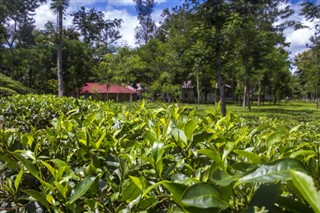 বাংলাদেশ