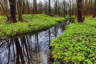 Bielorússia
