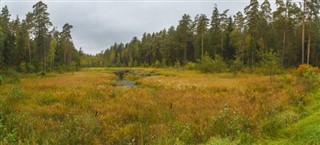 Bielorússia