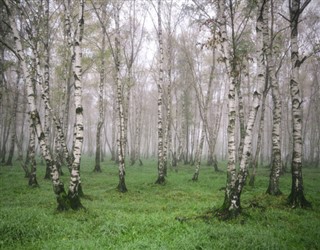 বেলারুশ