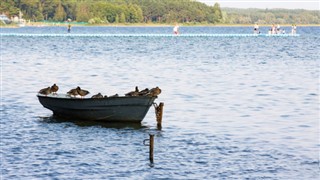Hviderusland vejrudsigt Hviderusland