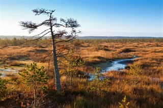 Belarus