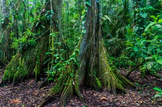 Belize