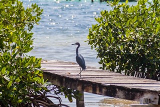 Belize