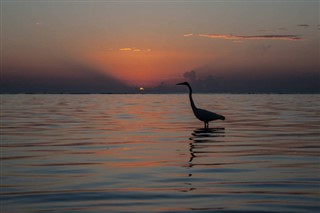 Belize