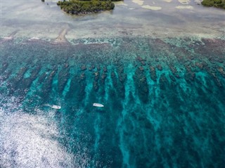 Belice