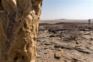 بینن