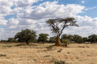 بنين