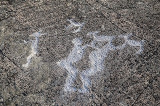 বেনিন