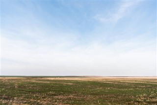 Бермудські