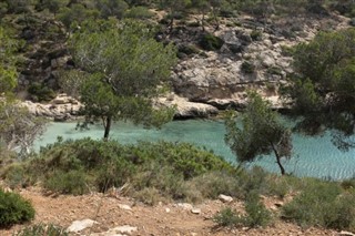 برمودا